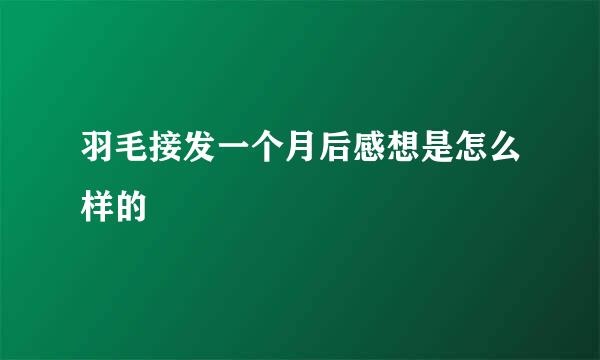 羽毛接发一个月后感想是怎么样的