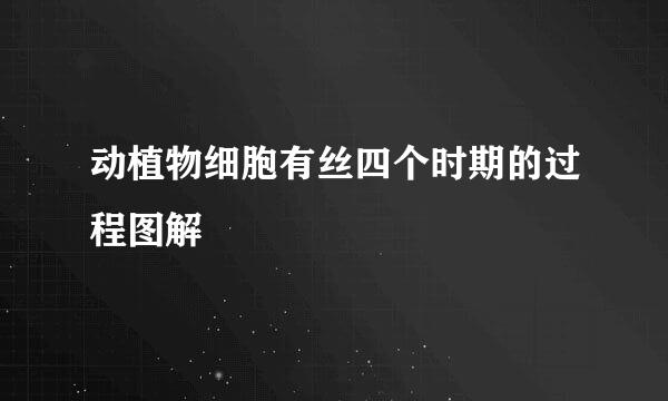 动植物细胞有丝四个时期的过程图解
