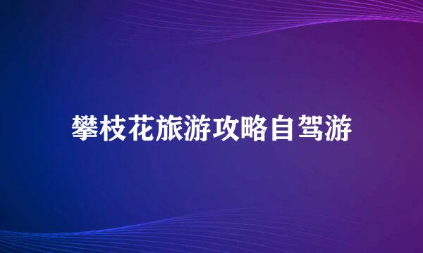 攀枝花旅游攻略自驾游