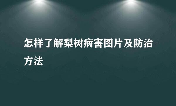 怎样了解梨树病害图片及防治方法