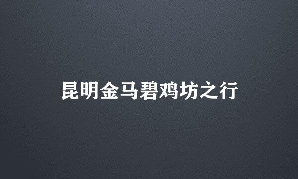 昆明金马碧鸡坊之行