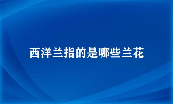 西洋兰指的是哪些兰花