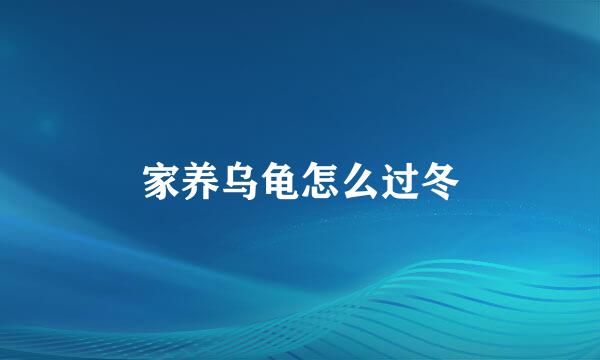 家养乌龟怎么过冬