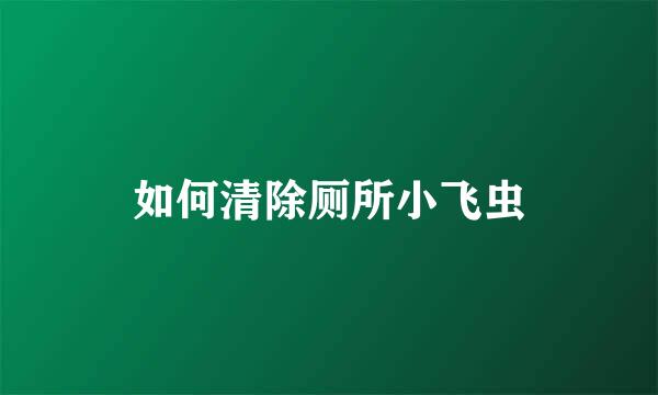 如何清除厕所小飞虫