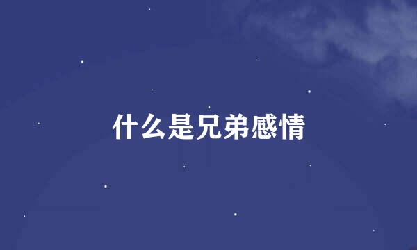 什么是兄弟感情