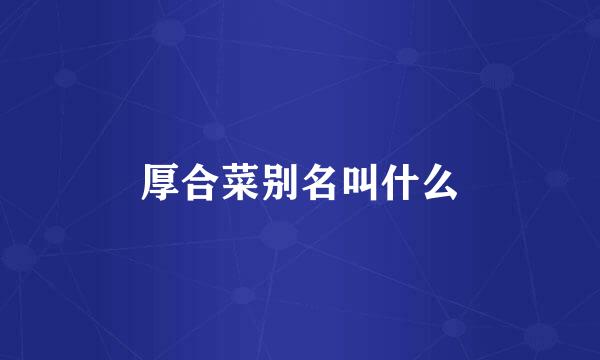 厚合菜别名叫什么