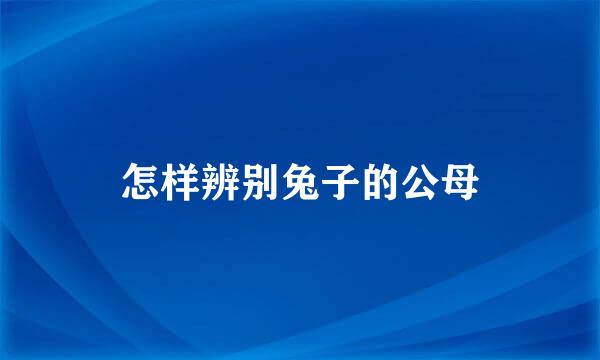 怎样辨别兔子的公母