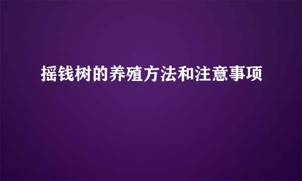 摇钱树的养殖方法和注意事项