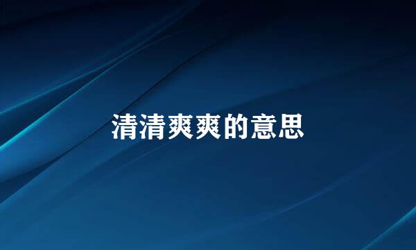 清清爽爽的意思