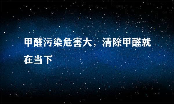 甲醛污染危害大，清除甲醛就在当下