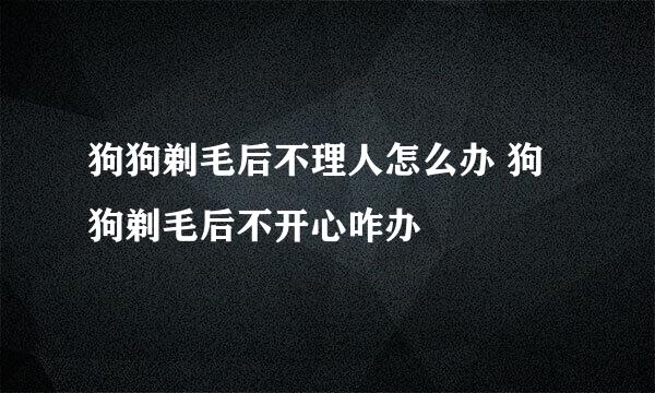 狗狗剃毛后不理人怎么办 狗狗剃毛后不开心咋办