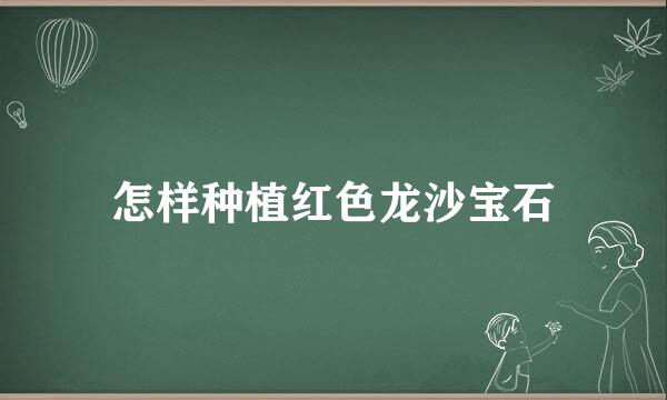 怎样种植红色龙沙宝石