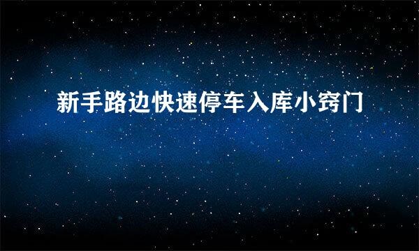 新手路边快速停车入库小窍门