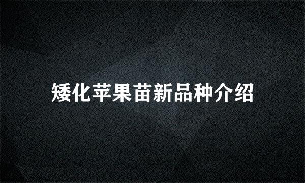 矮化苹果苗新品种介绍