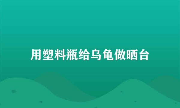 用塑料瓶给乌龟做晒台
