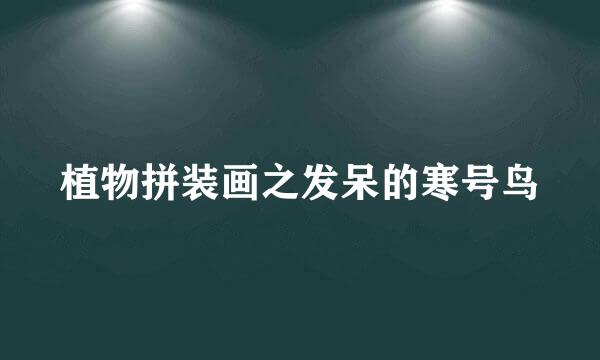 植物拼装画之发呆的寒号鸟