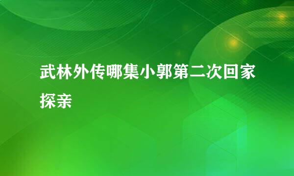 武林外传哪集小郭第二次回家探亲