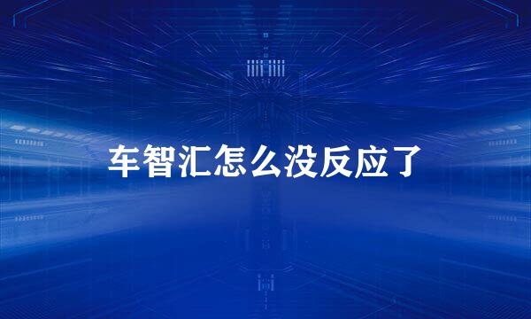 车智汇怎么没反应了