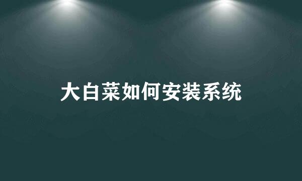 大白菜如何安装系统