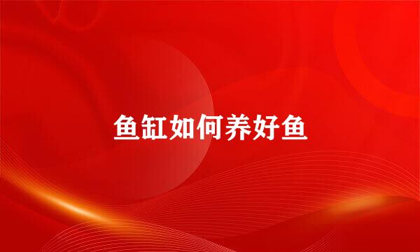 鱼缸如何养好鱼