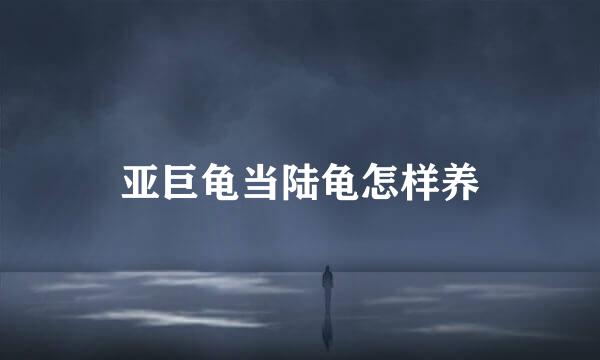 亚巨龟当陆龟怎样养