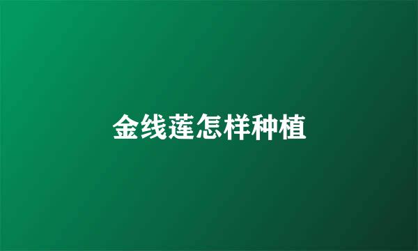 金线莲怎样种植