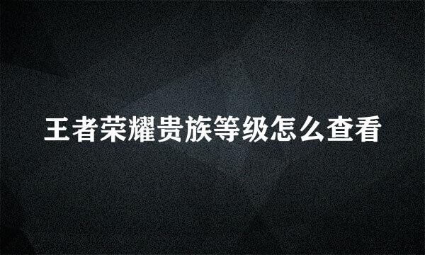 王者荣耀贵族等级怎么查看