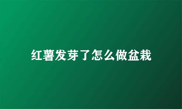 红薯发芽了怎么做盆栽