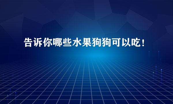 告诉你哪些水果狗狗可以吃！