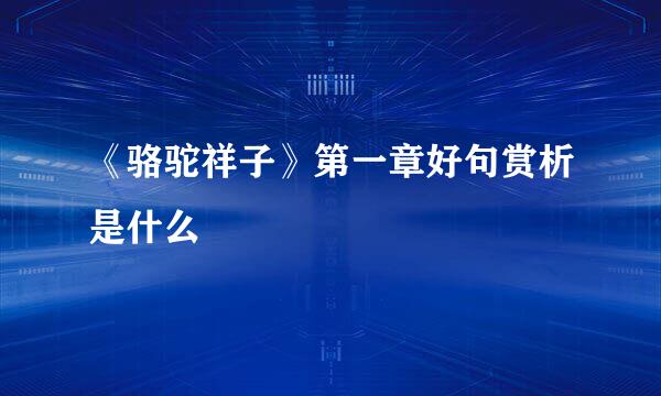《骆驼祥子》第一章好句赏析是什么