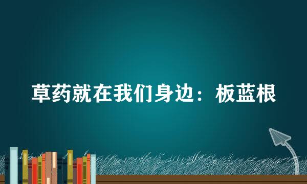 草药就在我们身边：板蓝根