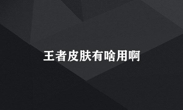 王者皮肤有啥用啊