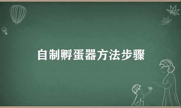 自制孵蛋器方法步骤