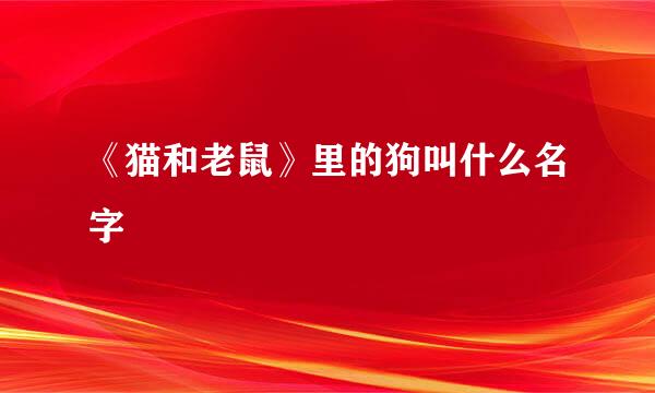 《猫和老鼠》里的狗叫什么名字