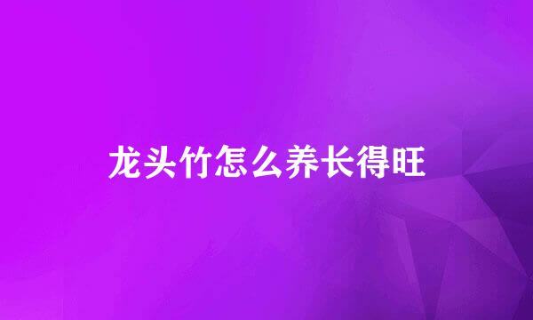 龙头竹怎么养长得旺