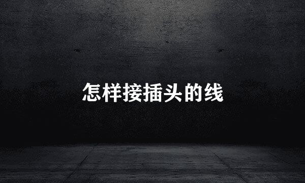 怎样接插头的线