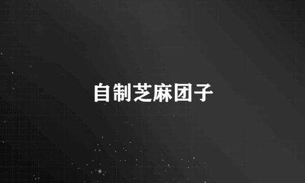 自制芝麻团子