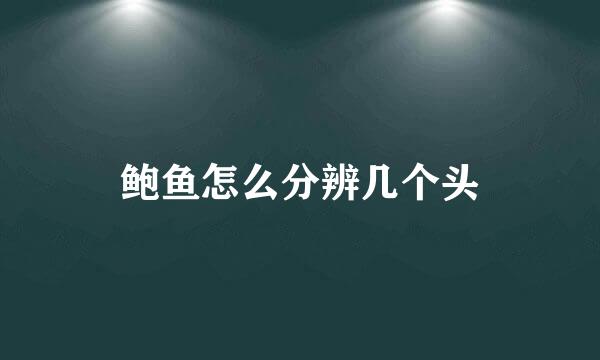 鲍鱼怎么分辨几个头