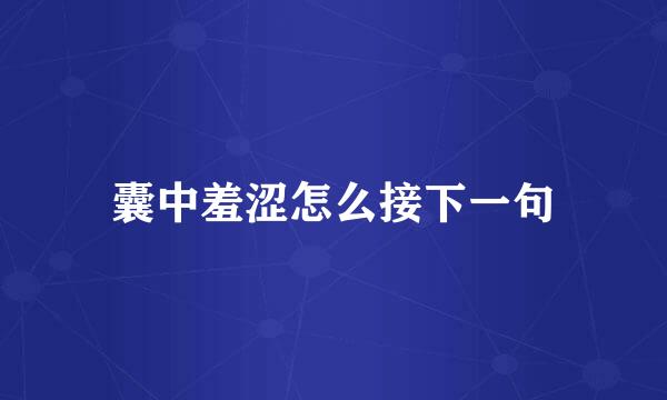 囊中羞涩怎么接下一句
