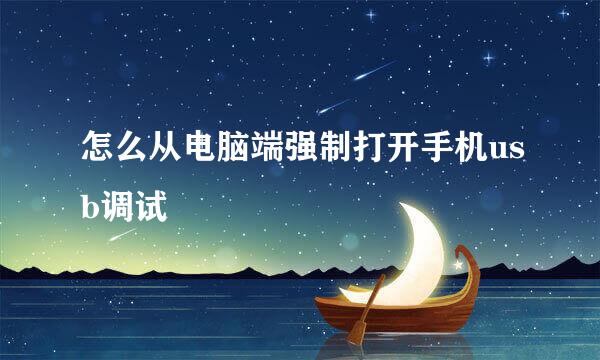 怎么从电脑端强制打开手机usb调试