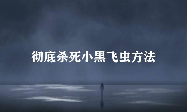 彻底杀死小黑飞虫方法