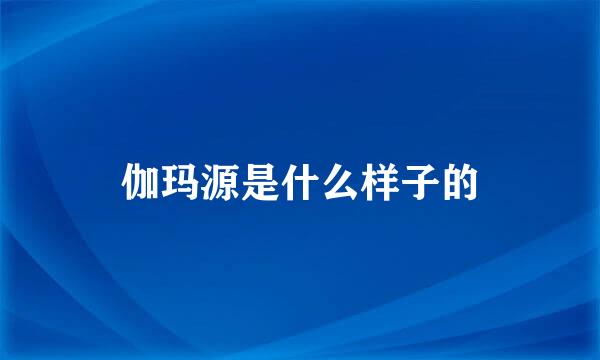 伽玛源是什么样子的