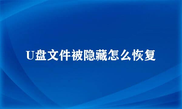 U盘文件被隐藏怎么恢复