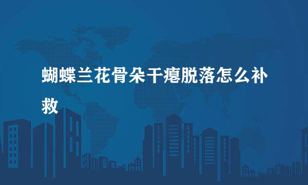蝴蝶兰花骨朵干瘪脱落怎么补救