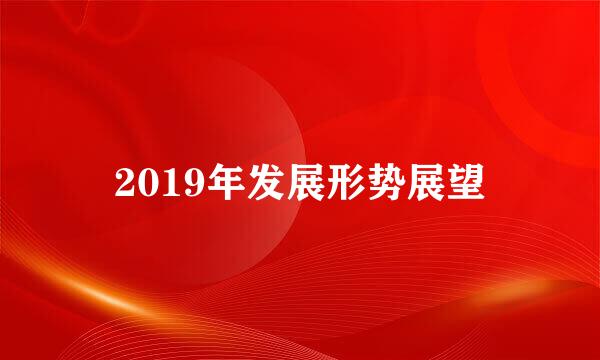 2019年发展形势展望
