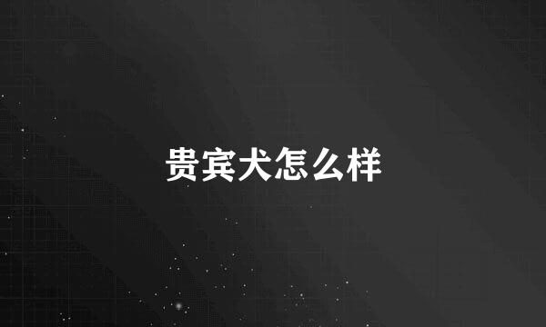 贵宾犬怎么样