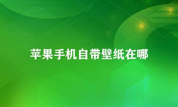 苹果手机自带壁纸在哪