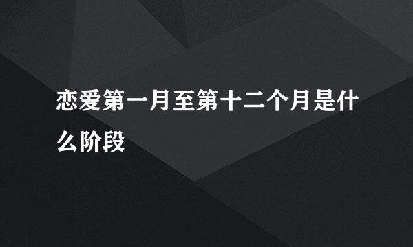 恋爱第一月至第十二个月是什么阶段
