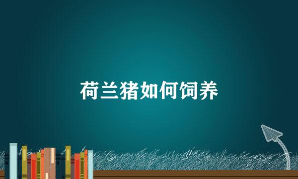 荷兰猪如何饲养
