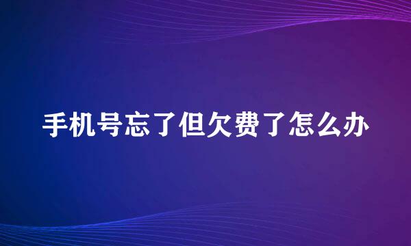 手机号忘了但欠费了怎么办